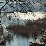 Red Stone Palkoeve 200m A Balaton Parttol Kilatassal- Kutya Barat Kovagoors
