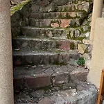 Red Stone Palkoeve 200m A Balaton Parttol Kilatassal- Kutya Barat *