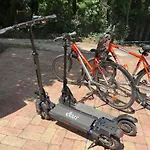 Red Stone Palkoeve 200m A Balaton Parttol Kilatassal- Kutya Barat *