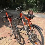 Red Stone Palkoeve 200m A Balaton Parttol Kilatassal- Kutya Barat 아파트 Kovagoors