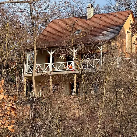 Red Stone Palkoeve 200m A Balaton Parttol Kilatassal- Kutya Barat Kovagoors