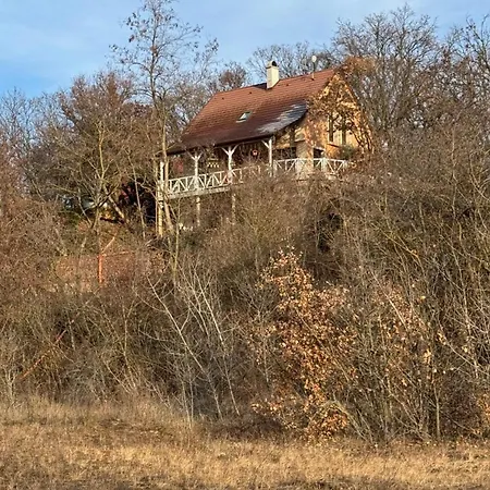 Red Stone Palkoeve 200m A Balaton Parttol Kilatassal- Kutya Barat Apartment *