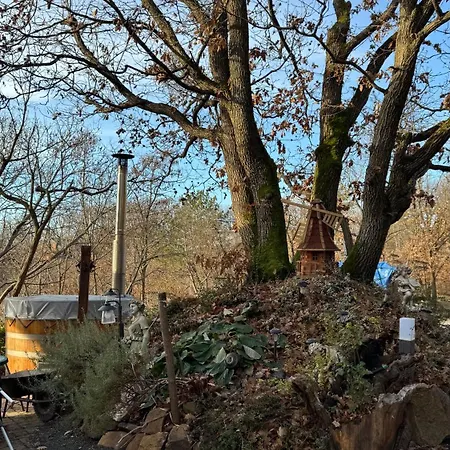 Lägenhet Red Stone Kovagooers-palkoeve Egesz Evben - 200m A Balaton Parttol Kilatassal- Kutya Barat Kovagoors