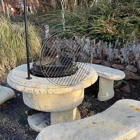 Red Stone Kovagooers-palkoeve Egesz Evben - 200m A Balaton Parttol Kilatassal- Kutya Barat *