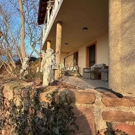 Red Stone Palkoeve 200m A Balaton Parttol Kilatassal- Kutya Barat Kovagoors