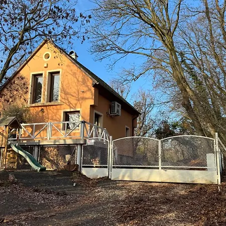 Red Stone Palkoeve 200m A Balaton Parttol Kilatassal- Kutya Barat