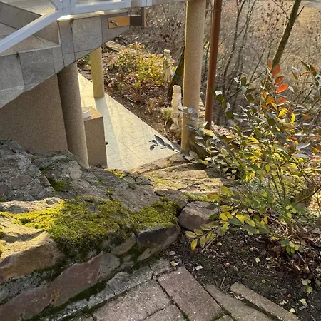 Red Stone Kovagooers-palkoeve Egesz Evben - 200m A Balaton Parttol Kilatassal- Kutya Barat דירה