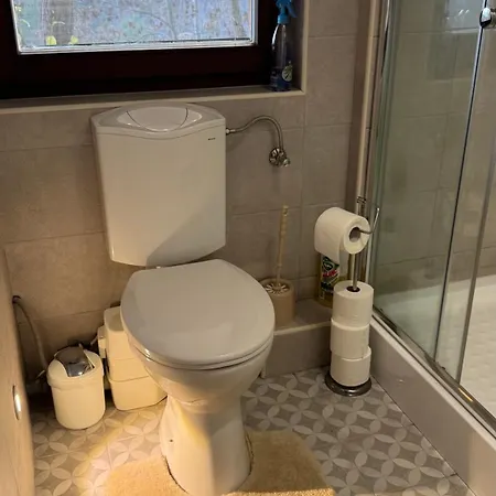 דירה Red Stone Kovagooers-palkoeve Egesz Evben - 200m A Balaton Parttol Kilatassal- Kutya Barat *