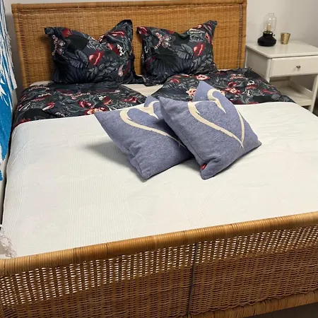 Red Stone Kovagooers-palkoeve Egesz Evben - 200m A Balaton Parttol Kilatassal- Kutya Barat * Kovagoors