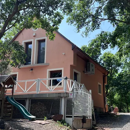 Red Stone Palkoeve 200m A Balaton Parttol Kilatassal- Kutya Barat Apartment