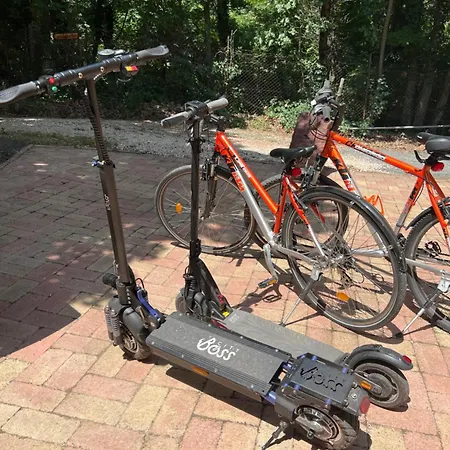 Red Stone Kovagooers-palkoeve Egesz Evben - 200m A Balaton Parttol Kilatassal- Kutya Barat *