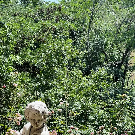 Red Stone Kővágóörs-pálköve Egész évben - 200m A Balaton Parttól Kilátással Appartamento