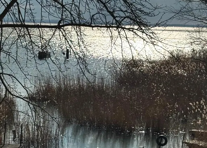Red Stone Palkoeve 200m A Balaton Parttol Kilatassal- Kutya Barat Kovagoors