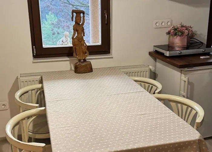 Red Stone Palkoeve 200m A Balaton Parttol Kilatassal- Kutya Barat