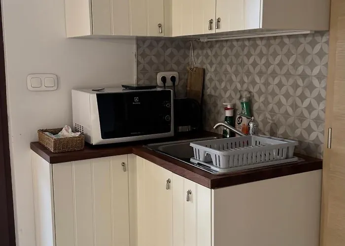 Red Stone Palkoeve 200m A Balaton Parttol Kilatassal- Kutya Barat Apartment Kovagoors