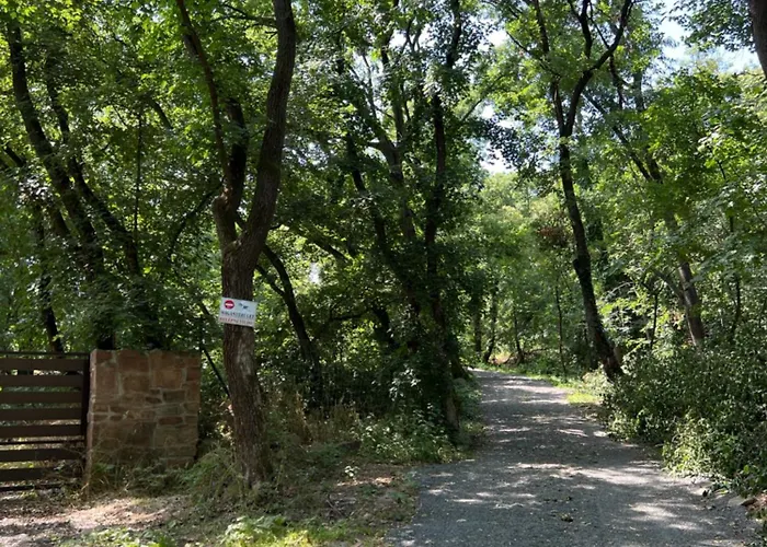 Apartman Red Stone Kővágóörs-pálköve Egész évben - 200m A Balaton Parttól Kilátással *