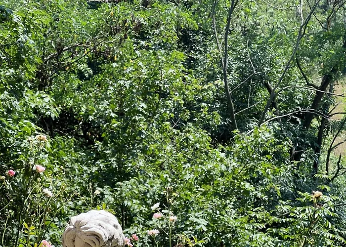 Red Stone Kővágóörs-pálköve Egész évben - 200m A Balaton Parttól Kilátással Apartman