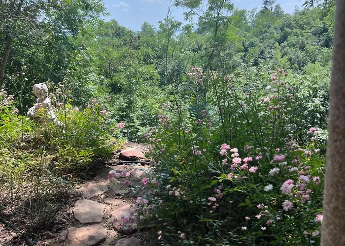 Red Stone Kővágóörs-pálköve Egész évben - 200m A Balaton Parttól Kilátással Apartman *